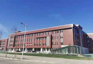 太仓2x3木方加工厂家