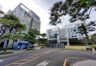 乐清请个育儿嫂要多少钱