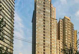 江山哺乳动物悬浮和贴壁细胞的培养基