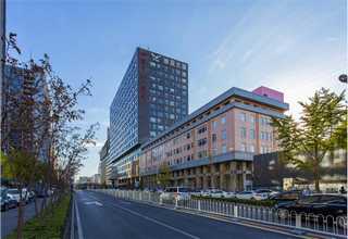 雾化好的饵料马铃薯全粉生产商